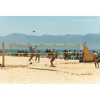 Volejbalová síť Beachvolejbalová síť PES 3 mm, růžový lem