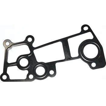 Motor automobilu Těsnění, příruba chladiva ELRING 354.300