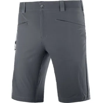 Pánské kraťasy Salomon Wayfarer Shorts M ebony LC1489600 46
