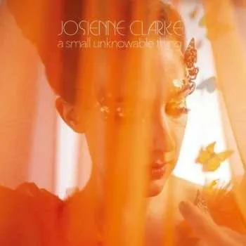 Zahraniční hudba CD Josienne Clarke: A Small Unknowable Thing 2021
