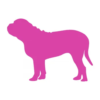 Polep vozidla SAMOLEPKA Pes 170 levá Bordeauxská doga (16 - růžová) NA AUTO, NÁLEPKA, FÓLIE, POLEP, TUNING, VLASTNÍ TEXT, TISK, AUTOSAMOLEPKY.cz, POLEPY, OBRÁZEK, LOGO, SAMOLEPKY