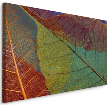 MyBestHome BOX Plátno Barevné Listí V Makro Měřítku Varianta: 30x20