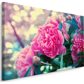 Plátno Pivoňkový Keř Varianta: 30x20