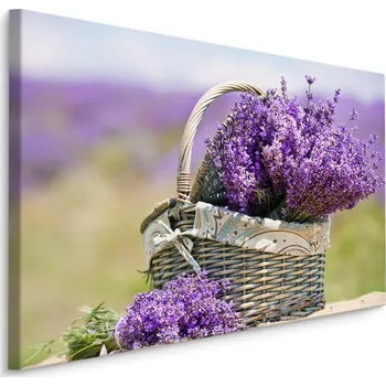 Plátno Košík S Květy Levandule Varianta: 30x20