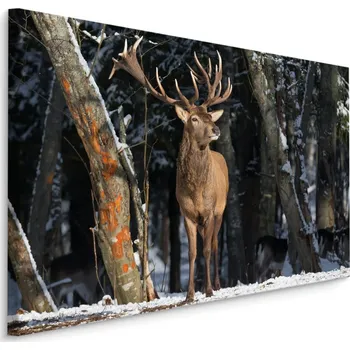 Obraz MyBestHome BOX Plátno Jelen Mezi Stromy Varianta: 30x20