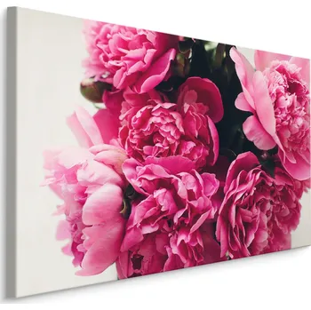 Obraz Plátno Kytice Pivoňek Varianta: 30x20