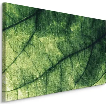 Obraz MyBestHome BOX Plátno Abstraktní Textura Listů Varianta: 120x80