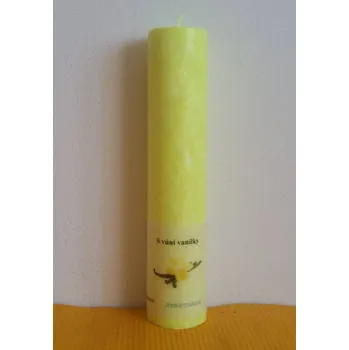 Svíčka Válec výška 22 cm, Barva růžová, Vůně svěží aloe