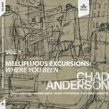 Zahraniční hudba CD Chad Anderson: Mellifluous Excursions Vol. 1 - Where You Been 2022