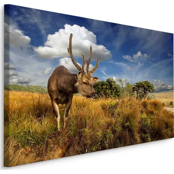 MyBestHome BOX Plátno Jelen v HDR Úpravě I. Varianta: 30x20