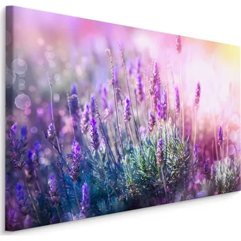 Obraz Plátno Kvetoucí Levandule 3D Varianta: 30x20