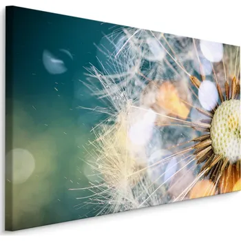 Obraz Plátno Barevná Pampeliška I. Varianta: 30x20