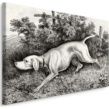 MyBestHome BOX Plátno Lovecký Pes Varianta: 30x20