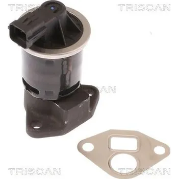 Ventil palivového systému AGR-Ventil TRISCAN 8813 21004