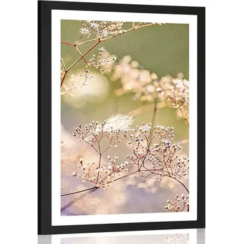 Plakát Dovido Plakát s paspartou zátiší z květin