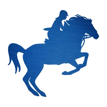 Samolepící dekorace SAMOLEPKA Kůň 091 pravá skok (65 - škrábaný kov modrý) NA AUTO, NÁLEPKA, FÓLIE, POLEP, TUNING, VLASTNÍ TEXT, TISK, AUTOSAMOLEPKY.cz, POLEPY, OBRÁZEK, LOGO, SAMOLEPKY