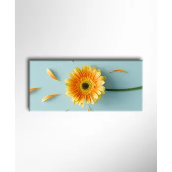 Malvis ® Obraz jednoduchá a veselá gerbera ROZMĚR (šířka x výška): jednodílný obdélník 100x45 cm