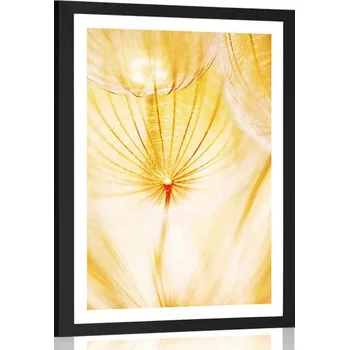 Plakát Dovido Plakát s paspartou pampeliška ve žlutém provedení