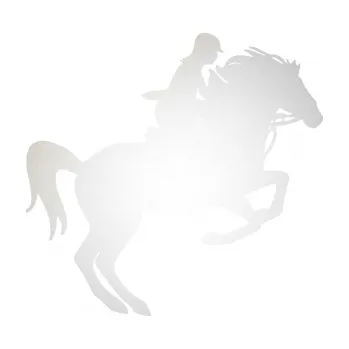 Samolepící dekorace SAMOLEPKA Kůň 091 pravá skok (82 - odrazková reflexní bílá) NA AUTO, NÁLEPKA, FÓLIE, POLEP, TUNING, VLASTNÍ TEXT, TISK, AUTOSAMOLEPKY.cz, POLEPY, OBRÁZEK, LOGO, SAMOLEPKY