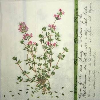 Papírový ubrousek Ubrousek Thyme cream