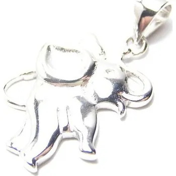 Přívěsek P91 Stříbrný přívěsek ZO00171