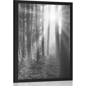 Plakát Dovido Plakát východ slunce v lese v černobílém provedení
