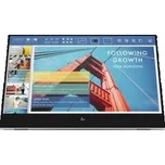 HP E14 G4 Portable Monitor (1B065AA#ABB)