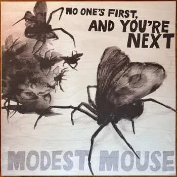 Zahraniční hudba LP Modest Mouse: No One's First, And You're Next 2021 High Quality Vinyl