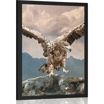 Plakát Dovido Plakát orel s roztaženými křídly nad horami