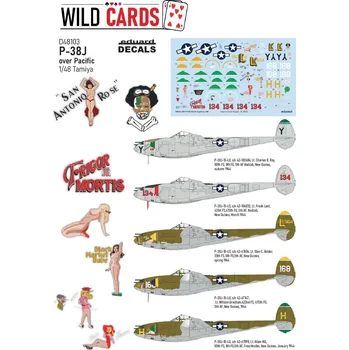 Plastikový model Eduard 1/48 P-38J Pacific Lightning (TAMIYA)