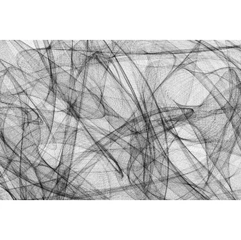 Fototapeta DIMEX | Vliesová fototapeta Abstraktní malba MS-5-2512 | 375 x 250 cm | bílá, černá + Vliesová fototapeta na stěnu DIMEX Abstraktní malba MS52512 v rozměru 375 x 250 cm + lepidlo zdarma