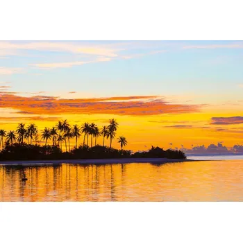 Fototapeta DIMEX | Vliesová fototapeta Palmy MS-5-3139 | 375 x 250 cm | modrá, černá, oranžová + Vliesová fototapeta na stěnu DIMEX Palmy MS53139 v rozměru 375 x 250 cm + lepidlo zdarma