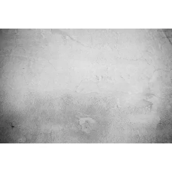 Fototapeta DIMEX | Vliesová fototapeta Světlá betonová stěrka MS-5-2650 | 375 x 250 cm | šedá + Vliesová fototapeta na stěnu DIMEX Světlá betonová stěrka MS52650 v rozměru 375 x 250 cm + lepidlo zdarma