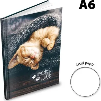 Tiskopis Kniha záznamní 6100 nelinkovaná A6/100 - Kotě