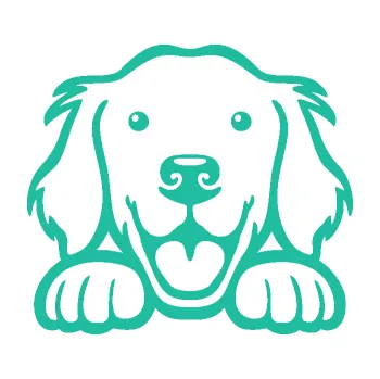 Polep vozidla Pes 175 levá hlavička vykukuje (25 - tyrkysová) SAMOLEPKA NA AUTO, NÁLEPKA, FÓLIE, POLEP, TUNING, VLASTNÍ TEXT, TISK, AUTOSAMOLEPKY.cz, POLEPY, OBRÁZEK, LOGO, 3D STICKERS