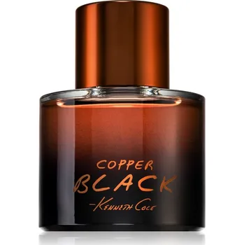 Pánský parfém Kenneth Cole Copper Black toaletní voda pro muže 100 ml