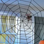 Amscan Halloweenská pavoučí síť 152 x…