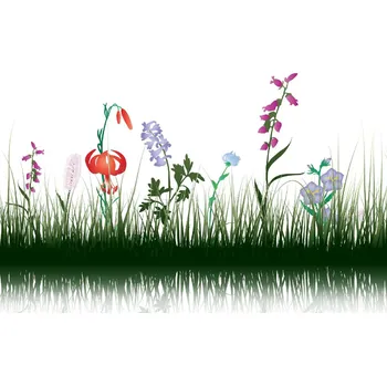 Fototapeta DIMEX | Vliesová fototapeta Siluety trávy MS-5-1459 | 375 x 250 cm| zelená, fialová, oranžová + Vliesová fototapeta na stěnu DIMEX Siluety trávy MS51459 v rozměru 375 x 250 cm + lepidlo zdarma