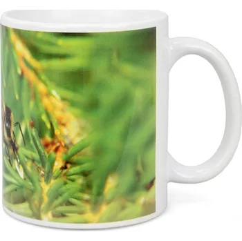 H. Holtermann Hrneček ApiSina "medovice"