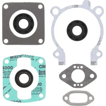 Těsnění motoru Winderosa sada těsnění motoru (s olejovým těsněním) Arctic Cat 60 Kitty Cat (Kawaski) FC/1