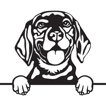 Vsepropejska Bígl 4 dřevěná dekorace na zeď Rozměr (cm): 38 x 31