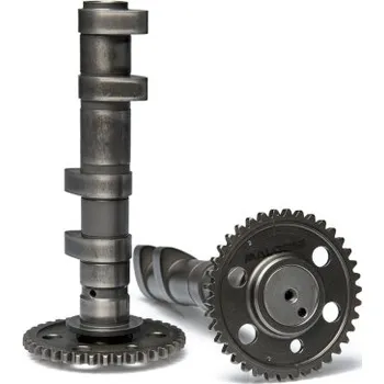 Válec motoru Vačkový hřídel Malossi Double Power Cam, Yamaha T-Max 560 2020- 5919140