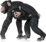 PAPO 50194 Samice šimpanze s mládětem