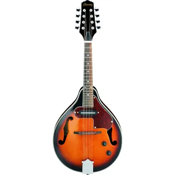 Akustická kytara Ibanez M510E-BS