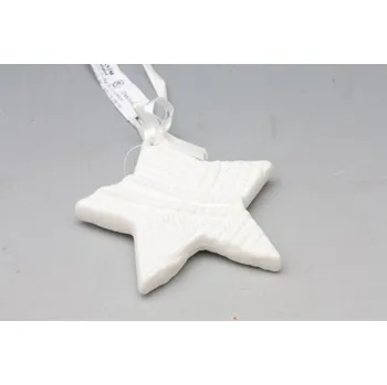 Vánoční dekorace Hvězda porcelánová (106428 036 708895 hvězda porcelán)