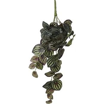 umělá květina umělá rostlina, Pepřinec - peperomia závěsná zelená pestrobarevná D58, Š20, V14 cm (A1074936)