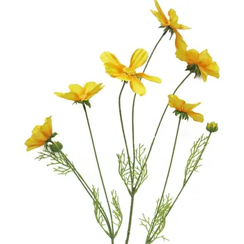 umělá květina Umělé květina, Krásenka - Cosmos bipinatus Orion zlutý V92 cm