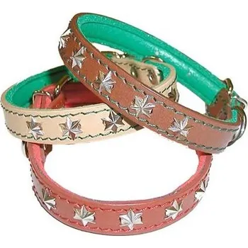 Obojek pro psa Chopo Obojky ASTA s pěnovkou zdobené do 25cm Barva: Hnědá