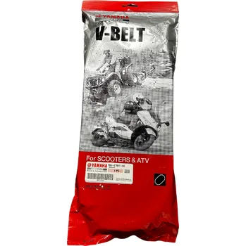 Motor pro motocykl Řemen YAMAHA pro XMAX 400