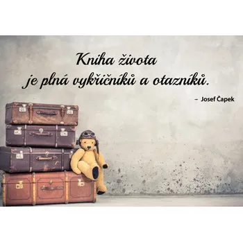 Samolepící dekorace Samolepky na zeď - Citát - Josef Čapek - Kniha života - XS (45 x 11 cm)